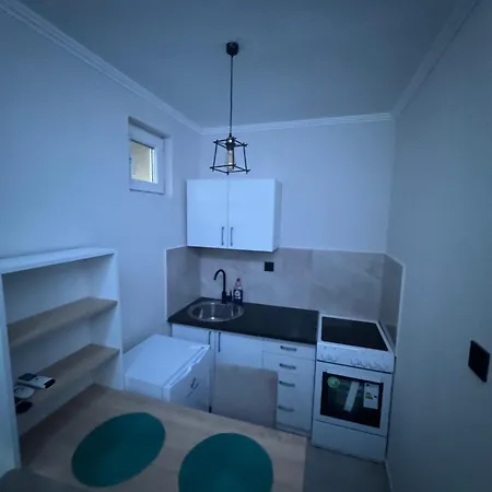 Georgeous Lux Apartment